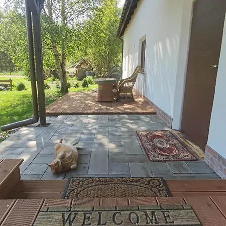 Ostoja Lesna Cisza Apartment *