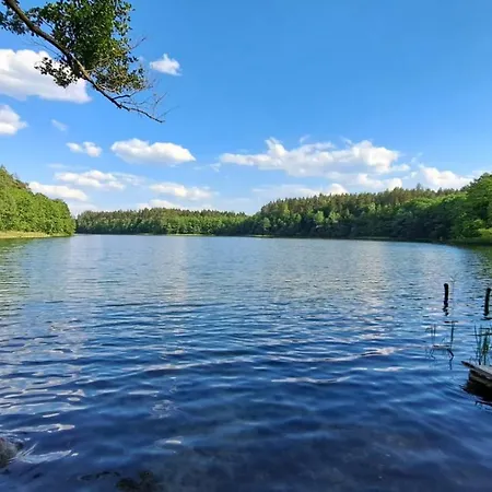 Ostoja Lesna Cisza Апартаменты