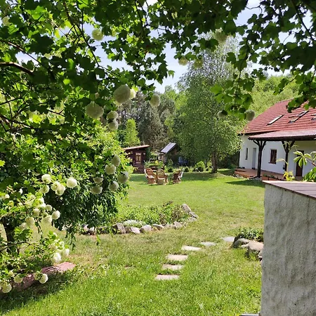 Apartment Ostoja Lesna Cisza *