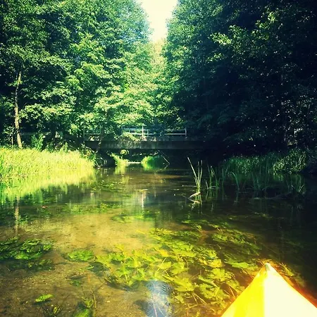 Apartment Ostoja Lesna Cisza