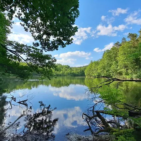 Ostoja Lesna Cisza Апартаменты *