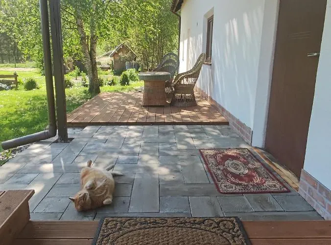 Ostoja Lesna Cisza Apartment *