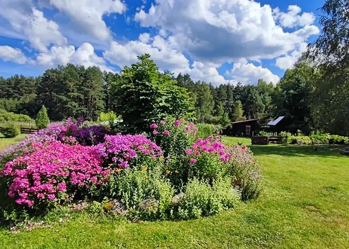 Ostoja Lesna Cisza Apartment *