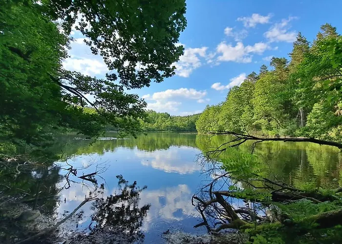 Ostoja Leśna Cisza Apartament *